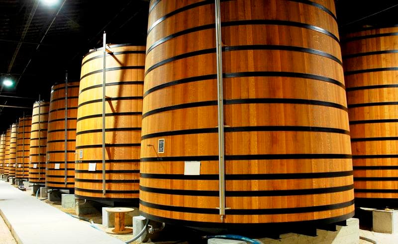 Rangée de grands foudres en bois dans un chai.
